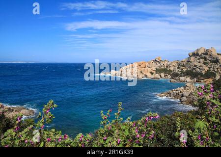 Die Bucht Cala Spinosa (Spiaggia di Cala Spinosa) im Frühling auf Sardinien Stockfoto