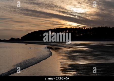 Newborough Beach in Anglesey, Nordwales, mit Sonnenuntergang hinter dem Pinienwald an einem Frühlingsabend. Stockfoto