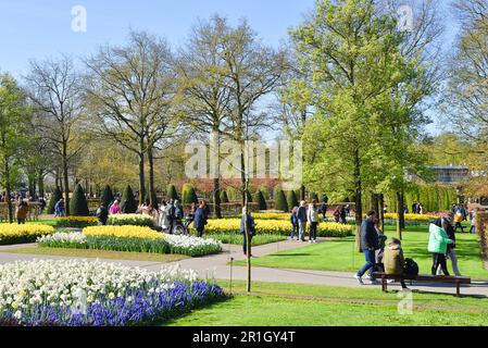 Lisse, Niederlande. April 2023. Besucher des Keukenhof, einem großartigen Frühlingsgarten in den Niederlanden. Hochwertiges Foto Stockfoto