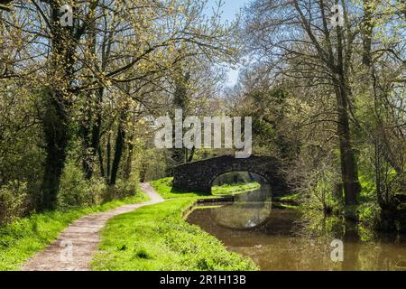 Taff Trail entlang des ländlichen Monmouthshire und Brecon Canal im Brecon Beacons National Park. Pencelli, Brecon, Powys, Wales, Vereinigtes Königreich, Großbritannien Stockfoto