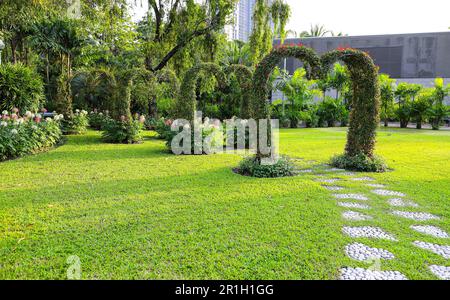 Gasse, Fußgängerweg entlang des Baumes im tropischen Garten Stockfoto