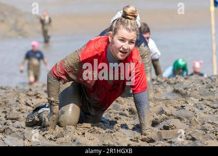 Maldon Promenade Park, Maldon, Essex, Großbritannien. 14. Mai 2023. Eine große Anzahl von Läufern begannen mit dem anstrengenden Kurs, der sie über den Fluss Blackwater und bei Ebbe zurück durch den anhaftenden, rutschigen Schlamm führte. Die Wettkämpfer des Maldon Mud Race laufen für wohltätige Zwecke, viele in schicken Kleidern und alle werden während des Rennens mit schleimigem Schlamm bedeckt, besonders diejenigen, die weiter zurück sind, sobald der Schlamm aufgewühlt ist. Weibliche Teilnehmerin, die im Schlamm krabbelt Stockfoto