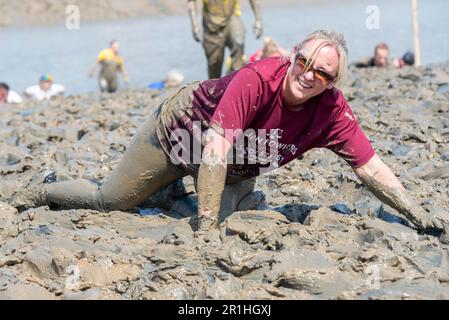 Maldon Promenade Park, Maldon, Essex, Großbritannien. 14. Mai 2023. Eine große Anzahl von Läufern begannen mit dem anstrengenden Kurs, der sie über den Fluss Blackwater und bei Ebbe zurück durch den anhaftenden, rutschigen Schlamm führte. Die Wettkämpfer des Maldon Mud Race laufen für wohltätige Zwecke, viele in schicken Kleidern und alle werden während des Rennens mit schleimigem Schlamm bedeckt, besonders diejenigen, die weiter zurück sind, sobald der Schlamm aufgewühlt ist. Eine Frau, die im Schlamm krabbelt Stockfoto