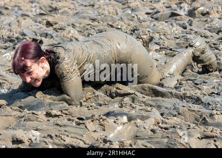 Maldon Promenade Park, Maldon, Essex, Großbritannien. 14. Mai 2023. Eine große Anzahl von Läufern begannen mit dem anstrengenden Kurs, der sie über den Fluss Blackwater und bei Ebbe zurück durch den anhaftenden, rutschigen Schlamm führte. Die Wettkämpfer des Maldon Mud Race laufen für wohltätige Zwecke, viele in schicken Kleidern und alle werden während des Rennens mit schleimigem Schlamm bedeckt, besonders diejenigen, die weiter zurück sind, sobald der Schlamm aufgewühlt ist. Eine Frau, die im Schlamm krabbelt Stockfoto