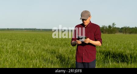 Farmer mit digitalem Tablet auf einem Roggenfeld. Intelligente Landwirtschaft und digitaler Wandel in der Landwirtschaft. Hochwertiges Foto Stockfoto