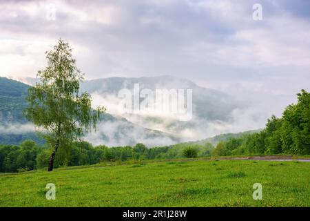 Ländliche Landschaft mit bewaldeten Hügeln. Wiesen und Wiesen. Bäume auf dem Hügel. Geheimnisvoller nebeliger Morgen Stockfoto