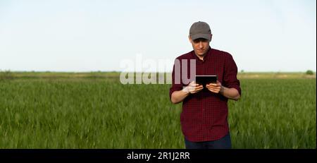 Farmer mit digitalem Tablet auf einem Roggenfeld. Intelligente Landwirtschaft und digitaler Wandel in der Landwirtschaft. Hochwertiges Foto Stockfoto