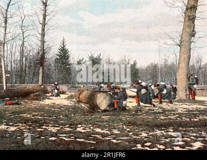 Bilder aus dem Leben eines Soldaten, ein französisches Militäralbum aus dem Jahr 1890 namens „L'Album Militaire“ Stockfoto
