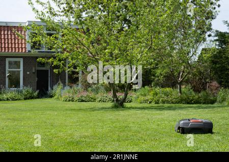 Der Mähroboter mäht den Rasen vor einem Haus in den Niederlanden. Konzentrieren Sie sich auf die Maschine Stockfoto