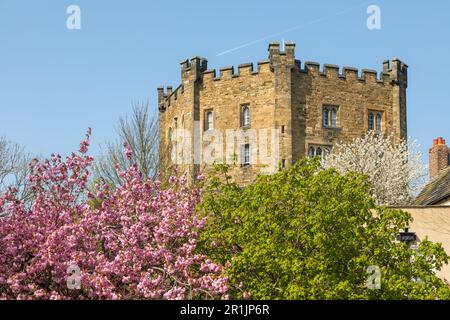 Das ursprünglich im 11. Jahrhundert erbaute Schloss Durham ist Teil des University College Durham. England, Großbritannien. Stockfoto