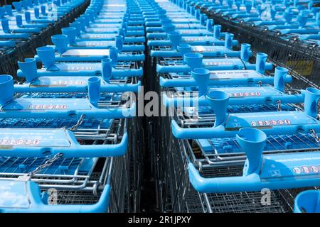 Vier Reihen blauer Einkaufswagen von der Supermarktkette "Albert Heijn" in den Niederlanden. Konzentrieren Sie sich auf die Wagen vor Ihnen Stockfoto