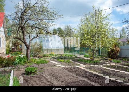 Wunderschöne Aussicht auf den Garten und das Gewächshaus im Hinterhof der Hütte im Frühling. Garten, ländlich, Hütte. Stockfoto