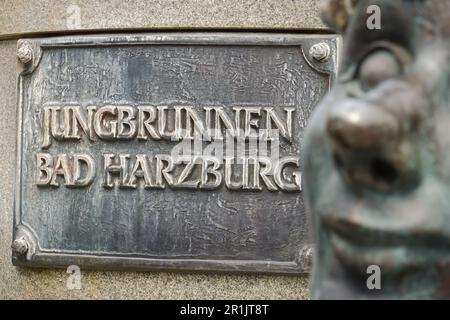 Der Jungbrunnen in Bad Harzburg, Niedersachsen. Wahrzeichen im historischen Zentrum der Kurstadt im Harz-Gebirge. Stockfoto