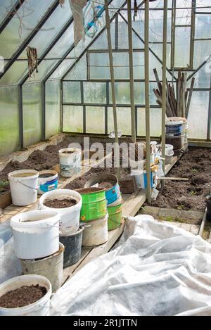 Das Innere des Gewächshauses ist der Beginn der Vorbereitungen für das Pflanzen von Gemüse im Frühjahr. Garten, ländlich, Hütte. Stockfoto