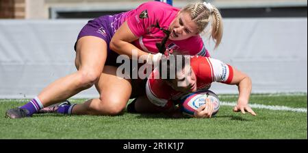 NORTHAMPTON, ENGLAND - May14: Ellie Rugman Gloucester-Hartpury erhält am 14. Mai 2023 in Northampton, England, ein Allianz Premier 15s Match zwischen Loughborough Lightning und Gloucester-Hartpury in Franklin's Gardens . Stockfoto