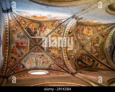 Leistengewölbe, bedeckt mit Bilblical Szenen Fresken von Guillaume de Marcillat, Kathedrale von Arezzo Stockfoto