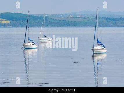 Festgemachte Segelboote in ruhigem Wasser an einem sonnigen Tag, Firth of Forth, Schottland, Großbritannien Stockfoto