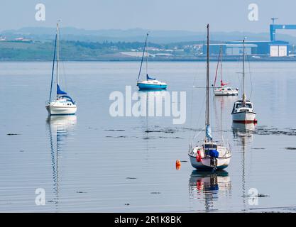 Festgemachte Segelboote in ruhigem Wasser an einem sonnigen Tag, Firth of Forth, Schottland, Großbritannien Stockfoto