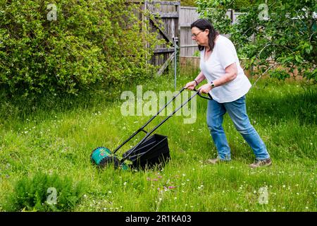 Eine Frau lässt das Gras länger wachsen und schneidet nur einen kurzen Weg durch das Gras für den nicht gemähten Mai. Lässt Wildblumen blühen und hilft Insekten. Stockfoto