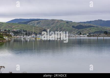 Porirua Hafen und Mana Marina Stockfoto