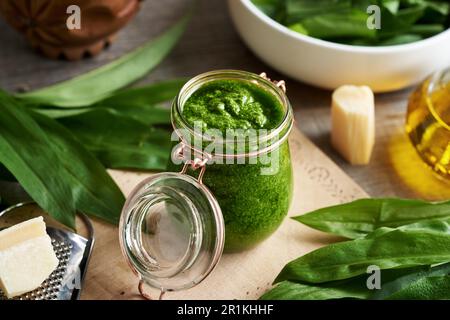 Ein Glas grüne Pesto-Sauce aus frischen Knoblauchblättern mit Parmesankäse Stockfoto