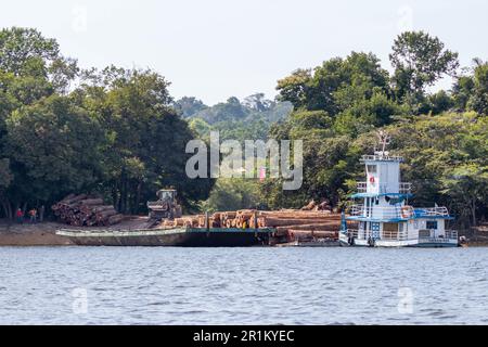 Fähre für den Transport von Stämmen aus einem Gebiet des brasilianischen Amazonaswaldes auf dem Fluss. Stockfoto