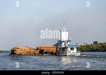 Fähre für den Transport von Stämmen aus einem Gebiet des brasilianischen Amazonaswaldes auf dem Fluss. Stockfoto