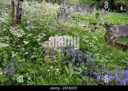 West Norwood Cemetery, einer von Londons „Magnificent Seven“ Friedhöfen, London, England, Großbritannien Stockfoto