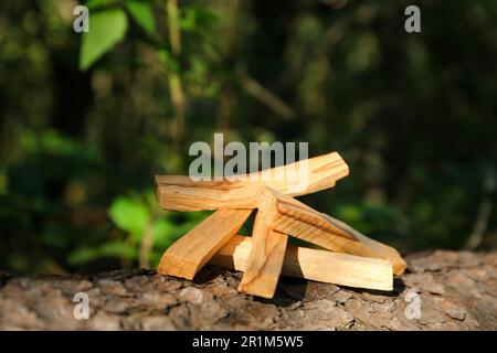 Palo santo klebt draußen an Baumrinde Stockfoto