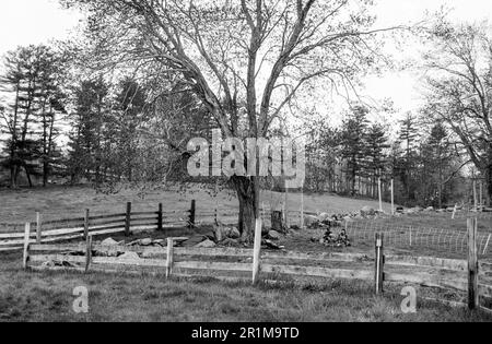 Coppal House Farm - Lee, New Hampshire - 2023. April. Eine vierköpfige Familie sitzt auf dem Boden und macht ein Picknick in einer kleinen Rasenfläche, die von Zäunen umgeben ist Stockfoto