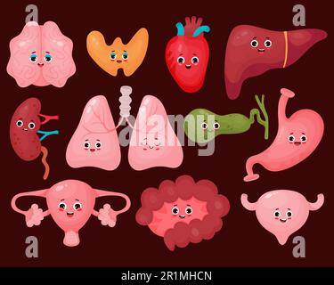 Sammlung süßer menschlicher Cartoon-Organe. Isolierter Vektor flach lustige Zeichentrickfiguren Illustrationen Design. Anatomiekonzept. Stock Vektor