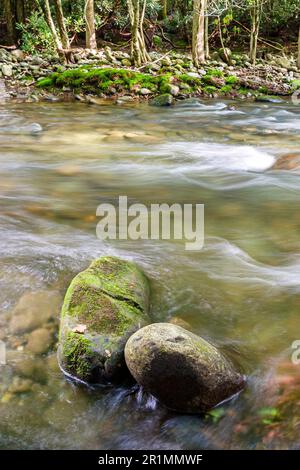 Tennessee Great Smoky Mountains National Park, Naturlandschaft Bach Fluss fließende Felsen,080403 W0035 Stockfoto