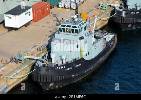 CFAV Glenbrook (YTB 643), ein Schlepper der Glen-Klasse, der von der Royal Canadian Navy betrieben wird, liegt an der HMC Dockyard bei CFB Halifax Stockfoto