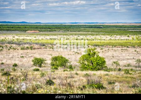 Eine atemberaubende Landschaft mit endlosen grasbedeckten Ebenen mit Sumpflandschaften und Feuchtgebieten, die sich bis zum Horizont unter einem wunderschönen Himmel im San Angelo State erstrecken Stockfoto