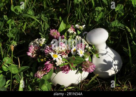 Keramikmörtel mit Stößel, verschiedenen Wildblumen und Kräutern auf grünem Gras im Freien Stockfoto