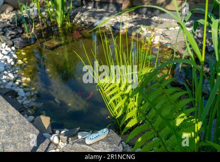 japanischer Gartenteich im Frühling Stockfoto