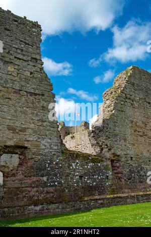 Rhuddlan Castle, in Rhuddlan, Denbighshire, Wales. Er wurde 1277 von Edward I nach dem ersten Walisischen Krieg errichtet. Denbighshire, Großbritannien Stockfoto