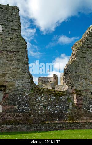 Rhuddlan Castle, in Rhuddlan, Denbighshire, Wales. Er wurde 1277 von Edward I nach dem ersten Walisischen Krieg errichtet. Denbighshire, Großbritannien Stockfoto