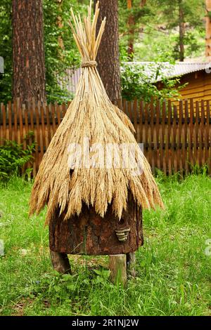 Alte natürliche Holzbienen mit Strohdach und Pilzen. Tiere- und Insektenhäuser Stockfoto