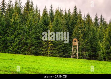 Jagdkanzel in grüner Landschaft. Holzjagdturm auf Grünland im Wald im Frühjahr, Beskiden Berge, Polen. Stockfoto