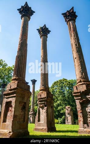 Windsor-Ruinen in Claiborne County, Mississippi Stockfoto