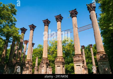 Windsor-Ruinen in Claiborne County, Mississippi Stockfoto