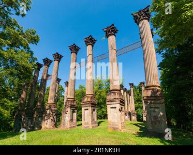 Eine niedrige Ansicht blickt nach oben zu einer Reihe hoher korinthischer Säulen mit geschnitzten Kapitellen neben Laubbäumen auf einem sonnigen Rasen in Windsor Ruins, Mississippi. Stockfoto