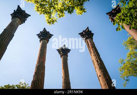 Windsor-Ruinen in Claiborne County, Mississippi Stockfoto