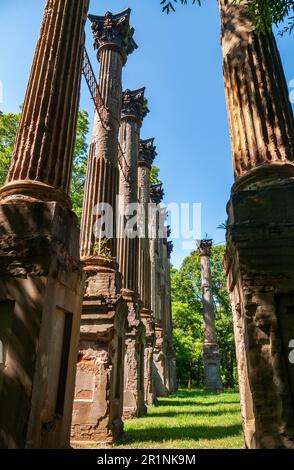 Blick einen Korridor zwischen massiven Säulenbasen hinunter, verwitterte, geriffelte Säulen ziehen sich zu einem sonnenbeschienenen Rasen und Bäumen bei den Windsor Ruins in Mississippi zurück. Stockfoto