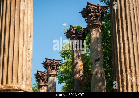 Windsor-Ruinen in Claiborne County, Mississippi Stockfoto