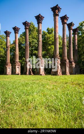 Eine Gruppe hoher korinthischer Säulen steht hinter einem Vordergrund aus leuchtend grünem Gras und Bäumen unter blauem Himmel in den Windsor Ruinen, Mississippi. Stockfoto