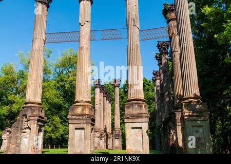 Windsor-Ruinen in Claiborne County, Mississippi Stockfoto