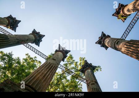 Windsor-Ruinen in Claiborne County, Mississippi Stockfoto