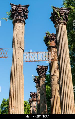 Windsor-Ruinen in Claiborne County, Mississippi Stockfoto